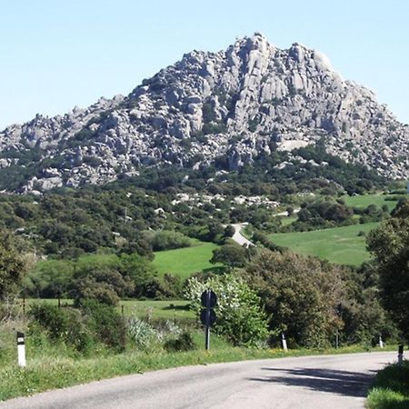La Vignaredda - Residenza Di Charme Hotel Aggius Eksteriør billede