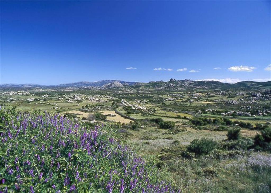 La Vignaredda - Residenza Di Charme Hotel Aggius Eksteriør billede